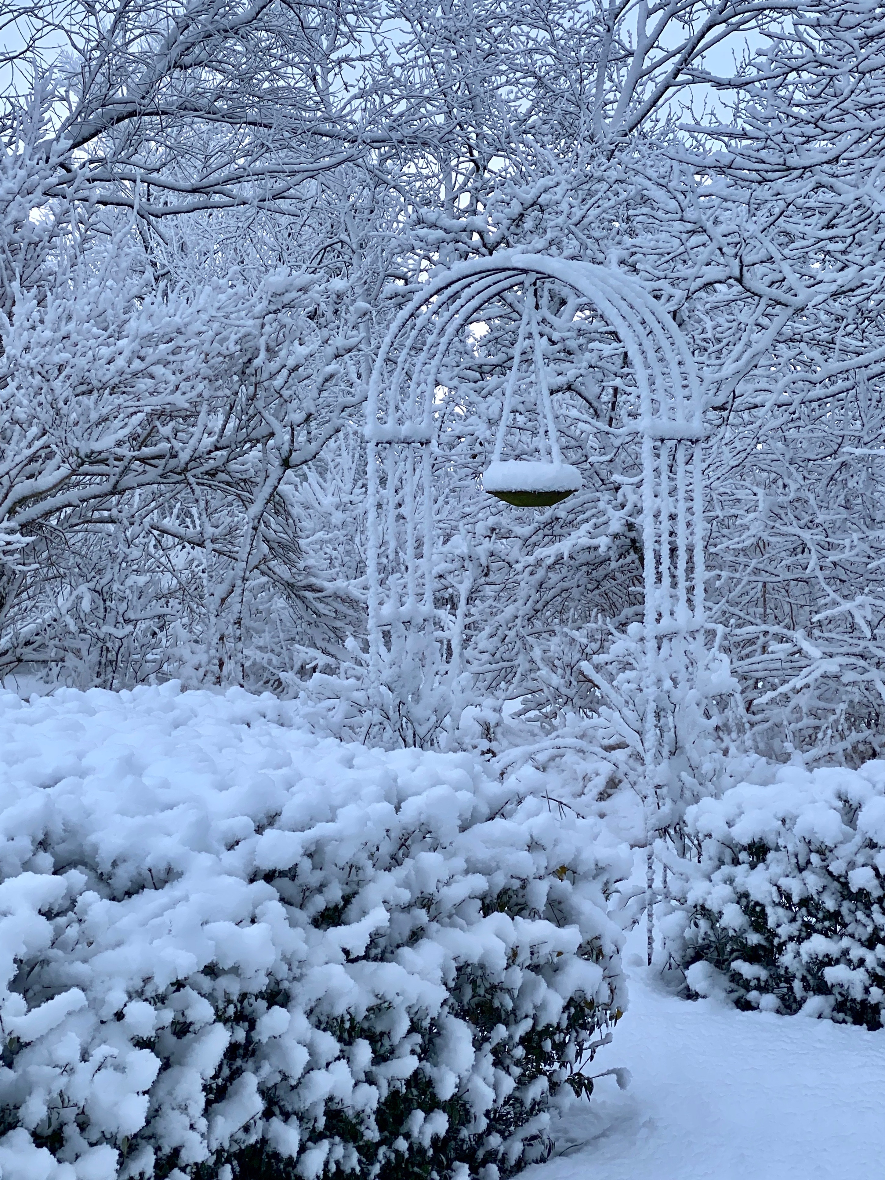 Catharinenwarft Winter